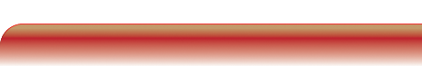 Servicios
